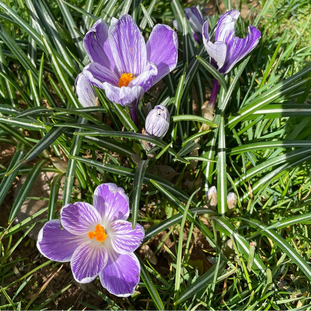 Make me an offer if you like something